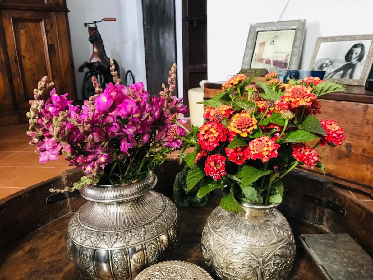 メディナ＝シドニア Casa Antigua - Terraza Con Vistas Al Mar Bed & Breakfast エクステリア 写真