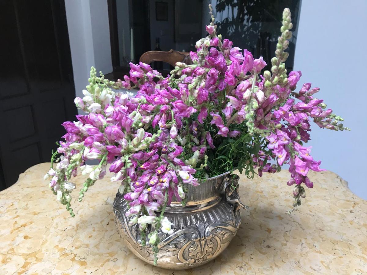 メディナ＝シドニア Casa Antigua - Terraza Con Vistas Al Mar Bed & Breakfast エクステリア 写真